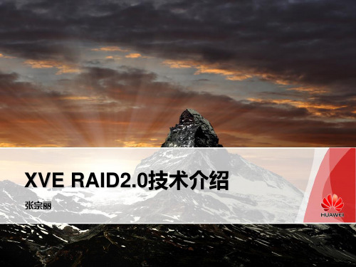 XVE RAID2 0技术介绍V1 2