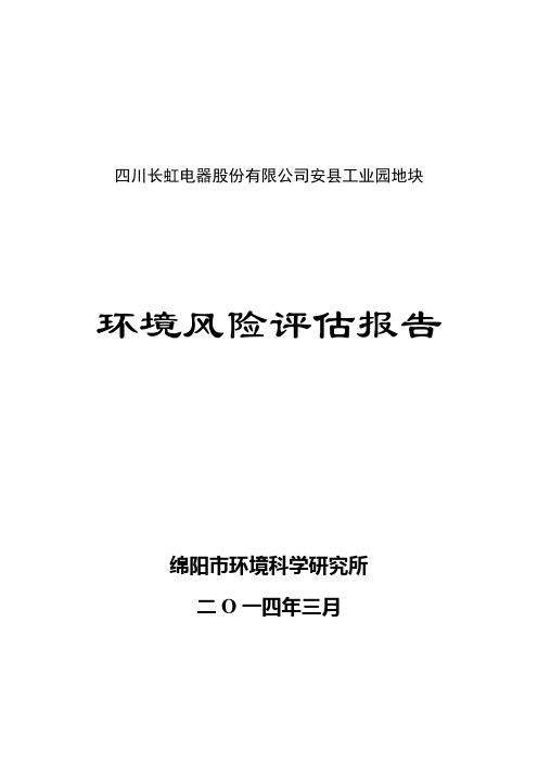 四川某工业园环境风险评估报告