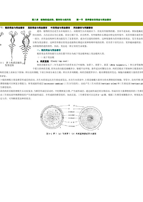 第八章 植物的适应性、整体性与相关性