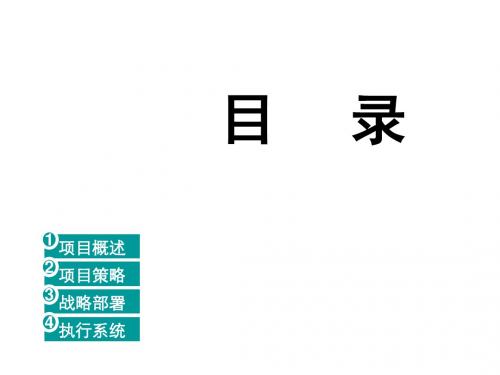 2019豪门盛宴全年整合公关推广策略方案-远洋传城-50PPT-文档资料