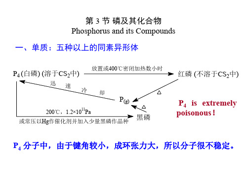 2020高中化学磷及其化合物