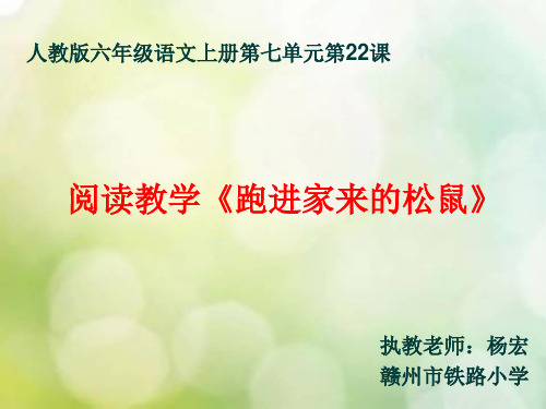 部编六年级上人教《22 跑进家来的松鼠》杨宏PPT课件 一等奖新名师优质课获奖比赛公开免费下载