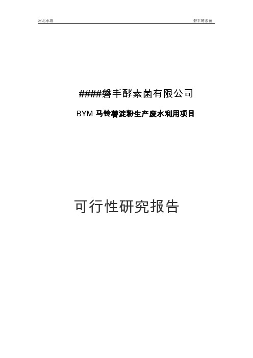 BYM-马铃薯淀粉废水利用建设项目可行性研究报告