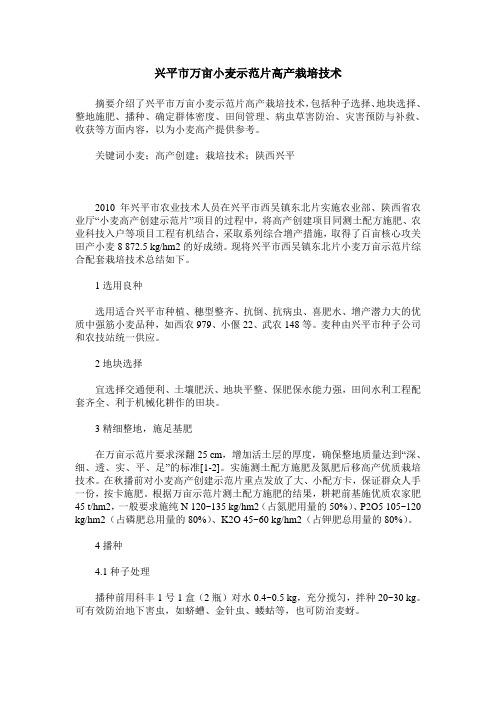 兴平市万亩小麦示范片高产栽培技术