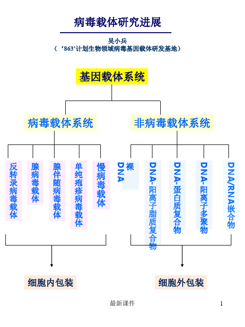 病毒载体--吴小兵ppt课件