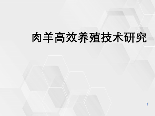 肉羊高效养殖技术研究