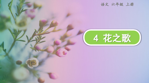 《花之歌》PPT教学课件