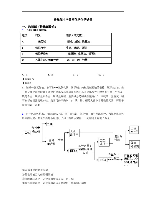 鲁教版中考四模化学化学试卷