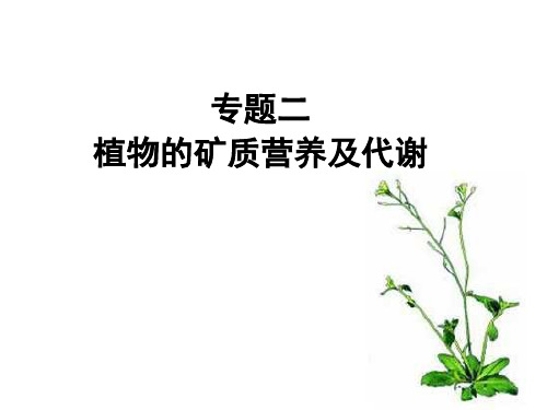 高级植物生理学—专题二学习资料