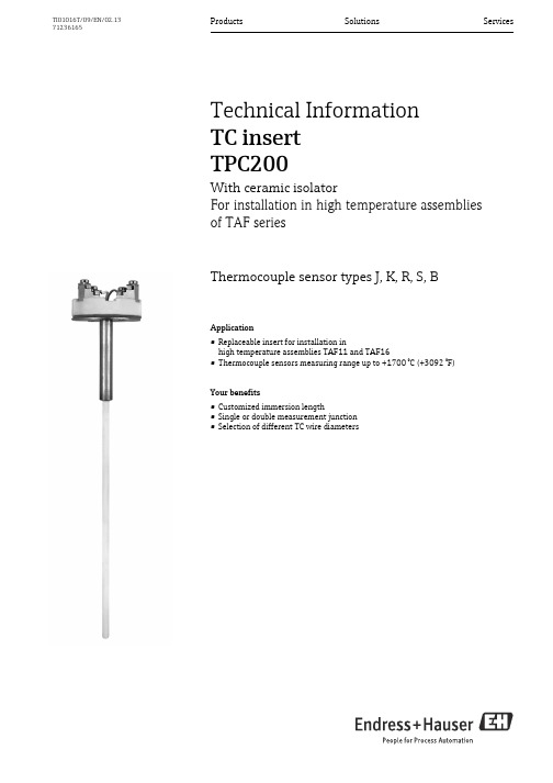 Endress+Hauser TPC200高温传感器说明书