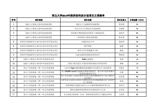 西北大学2019年陕西省科技计划项目立项清单