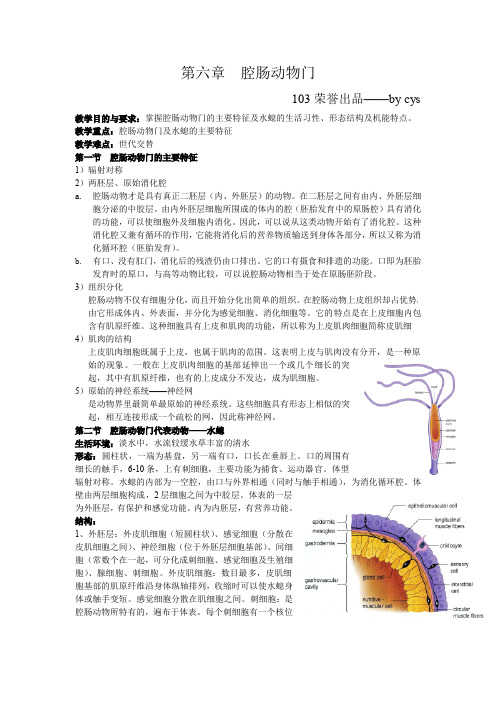 普通动物学第六章腔肠动物门