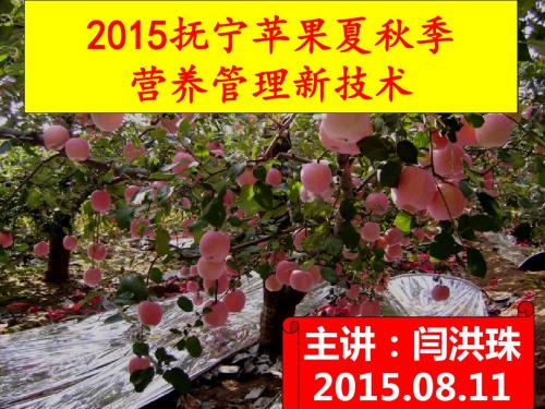 2015年抚宁苹果夏秋季营养管理新技术