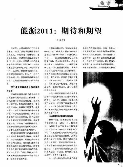 能源2011：期待和期望