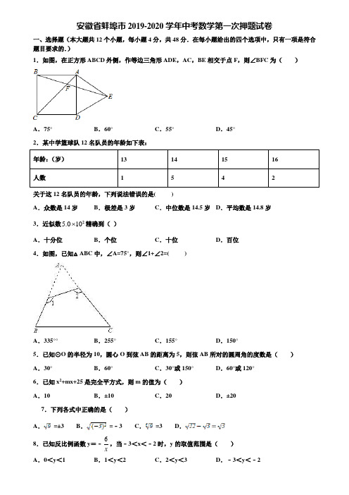 安徽省蚌埠市2019-2020学年中考数学第一次押题试卷含解析