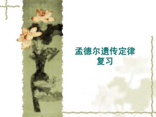 孟德尔遗传定律复习