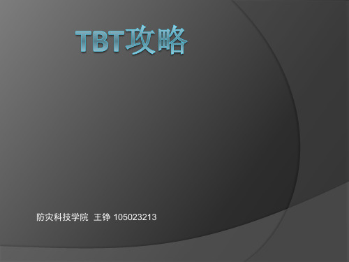 TBT项目融资模式