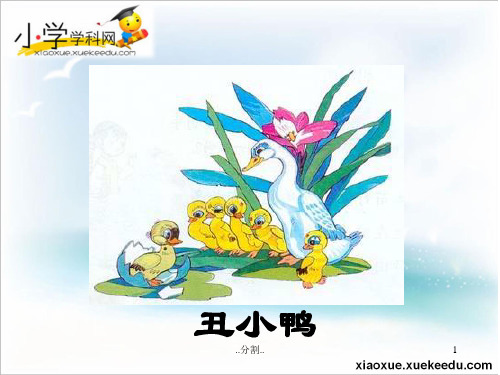 二年级下语文课件-会走路的树-苏教版【小学学科网】培训资料.ppt