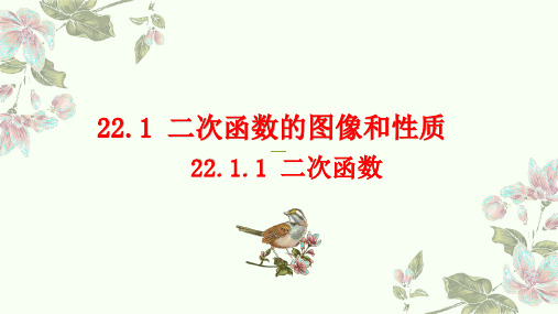 人教部初三九年级数学上册 22.1.1二次函数第一课时 名师教学PPT课件