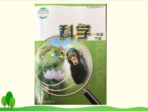 小学一年级下册 - 《10 形形色色的动物》 苏教版2017ppt(20张)