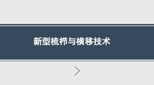 新型梳栉与横移技术2016