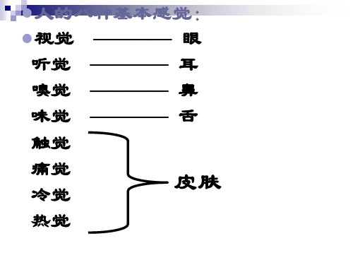 人的基本感觉