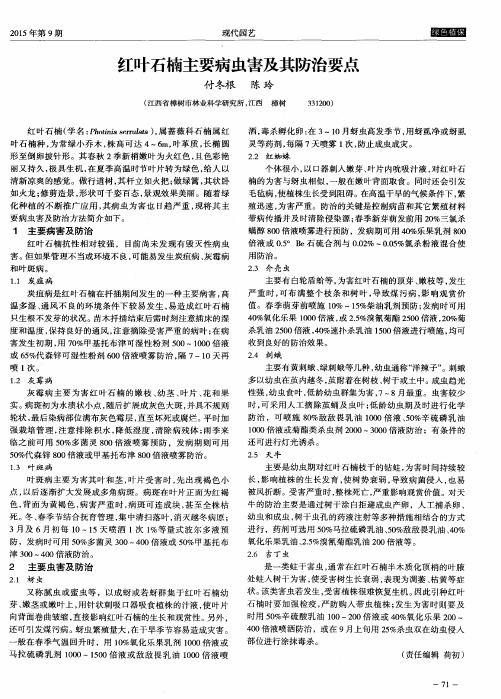 红叶石楠主要病虫害及其防治要点