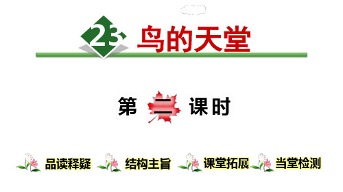 《鸟的天堂》ppt优秀课件部编版小学语文2