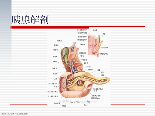 胰腺疾病的外科诊断治疗_胡亚