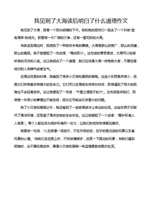 我见到了大海读后明白了什么道理作文