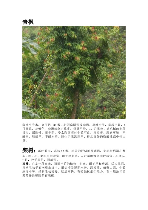 植物习性整理