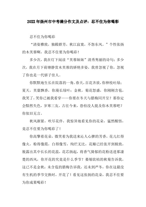 20XX年扬州市中考满分作文及点评:忍不住为你喝彩