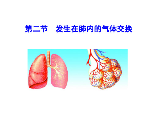 人教版七年级生物下册 第四单元 第三章人体的呼吸第二节  发生在肺内的气体交换