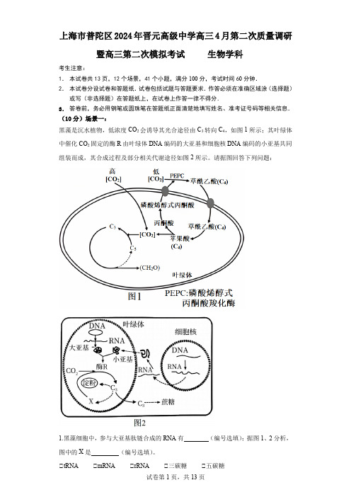 上海市普陀区2023-2024学年晋元高级中学高三下学期4月第二次质量调研