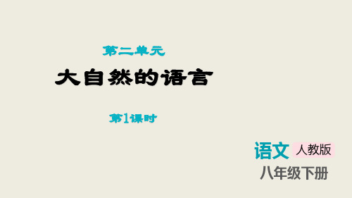 部编版八年级语文下册《大自然的语言》PPT精品课件