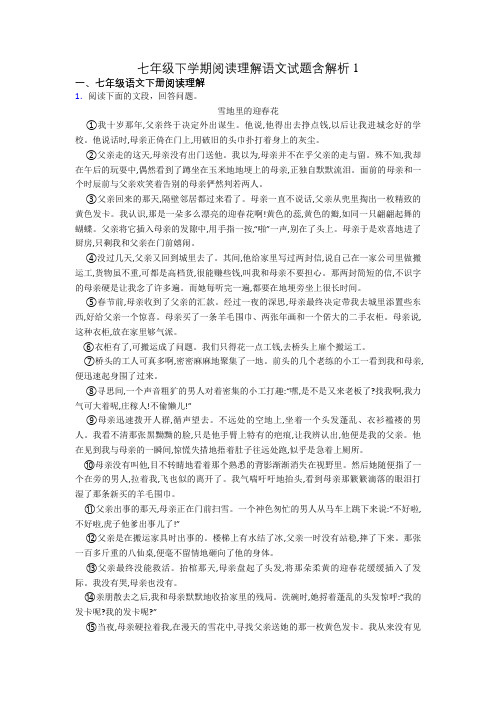 七年级下学期阅读理解语文试题含解析1