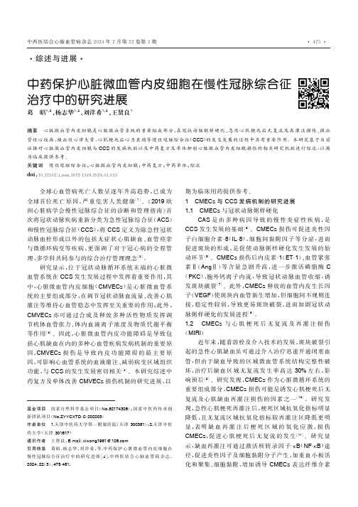 中药保护心脏微血管内皮细胞在慢性冠脉综合征治疗中的研究进展