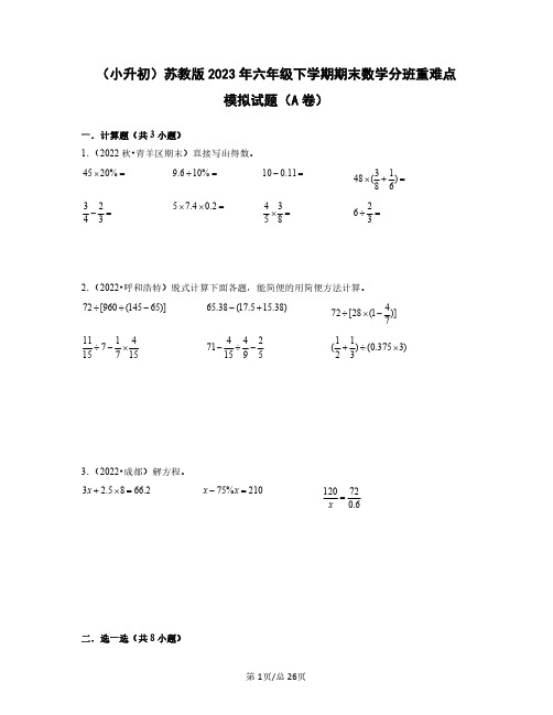 (小升初)苏教版2023年六年级下学期期末数学分班重难点模拟试题合集AB卷(含答案)