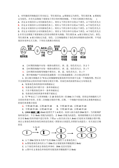 细胞分裂中的同位素标记习题讲解