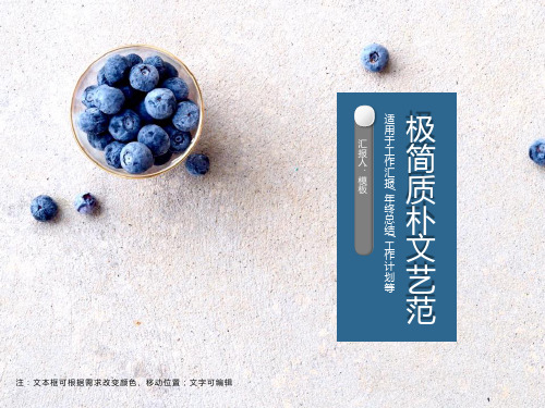 极简质朴素雅文艺范通用ppt模板