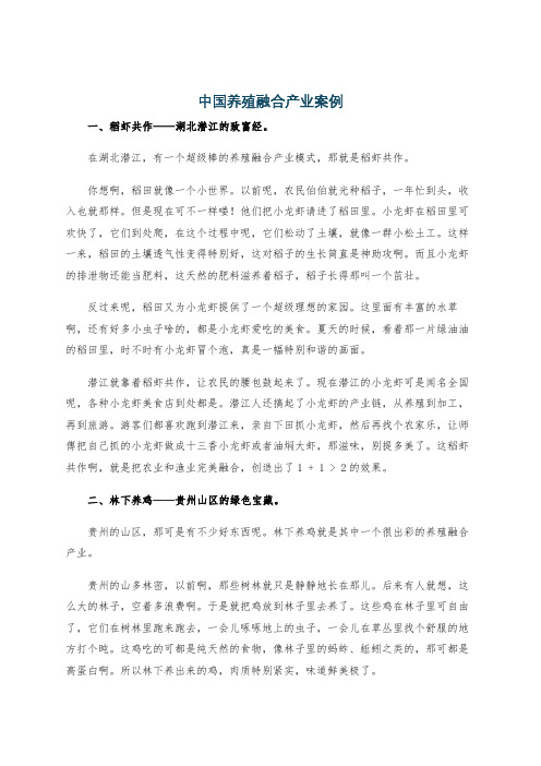 中国养殖融合产业案例