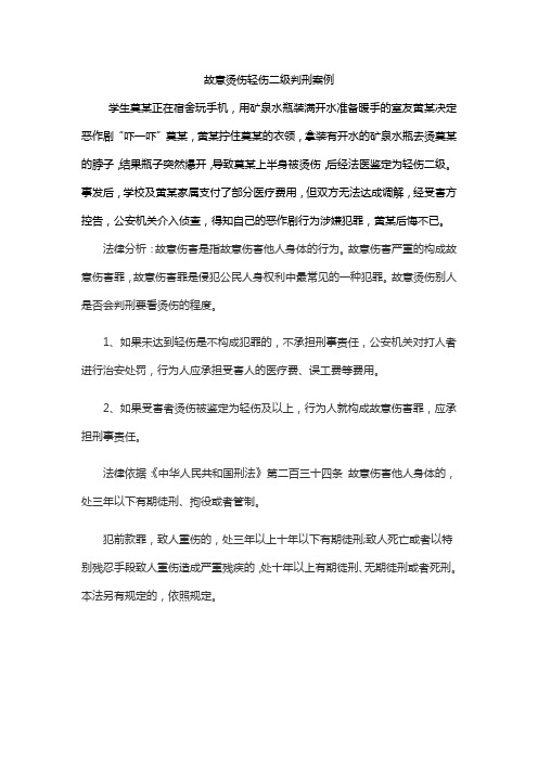 故意烫伤轻伤二级判刑案例