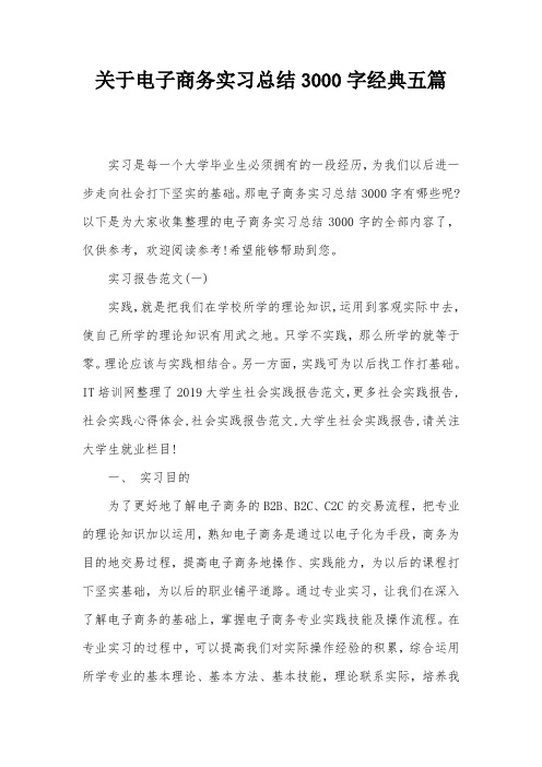 关于电子商务实习总结3000字经典五篇