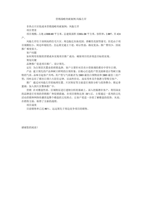 营销战略突破案例-风临左岸
