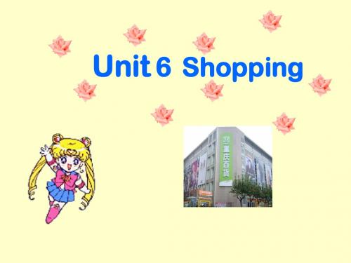 英语课件Unit6 shopping