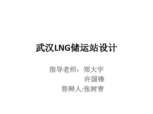 武汉LNg储运站接收站1资料