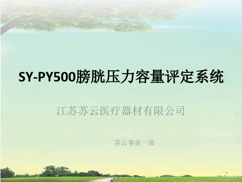 SY-PY500膀胱压力容量评定系统PPT课件