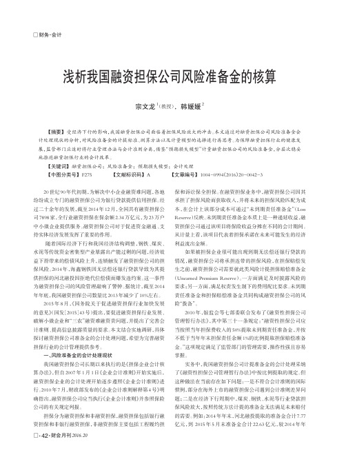 浅析我国融资担保公司风险准备金的核算