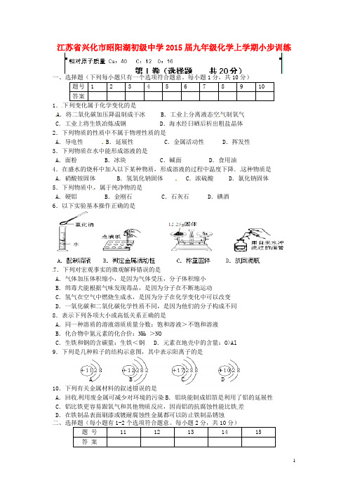 江苏省兴化市昭阳湖初级中学九年级化学上学期小步训练9(无答案) 沪教版