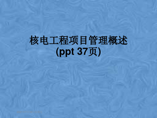 核电工程项目管理概述(ppt 37页)